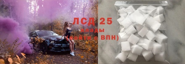 ГАЛЛЮЦИНОГЕННЫЕ ГРИБЫ Балахна